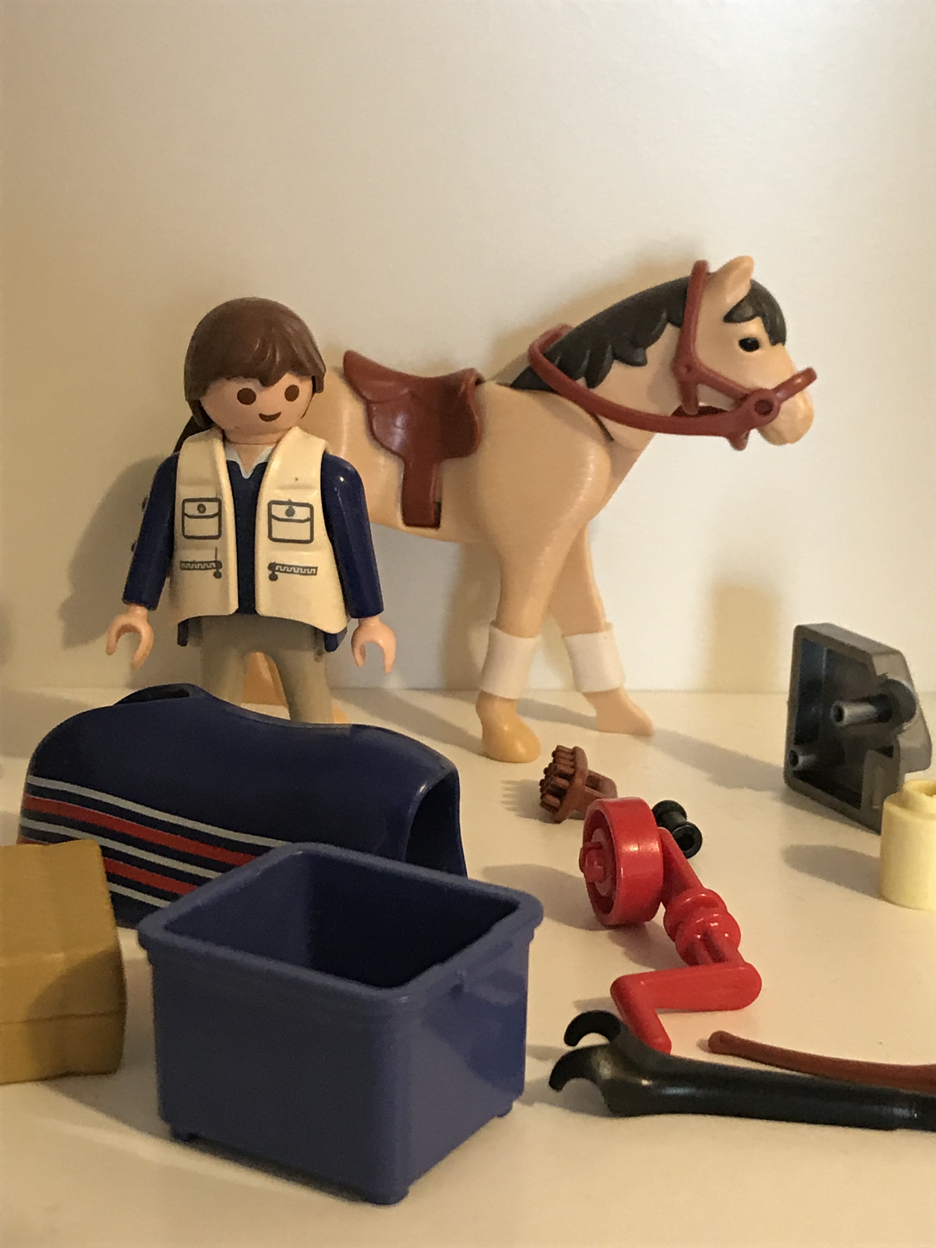 Cavalier et son cheval Playmobil 4189