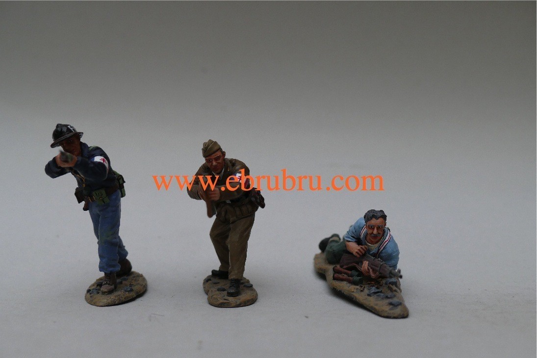 FRENCH FORCES OF THE INTERIOR AMBUSH GROUP D DAY KING & COUNTRY DD090