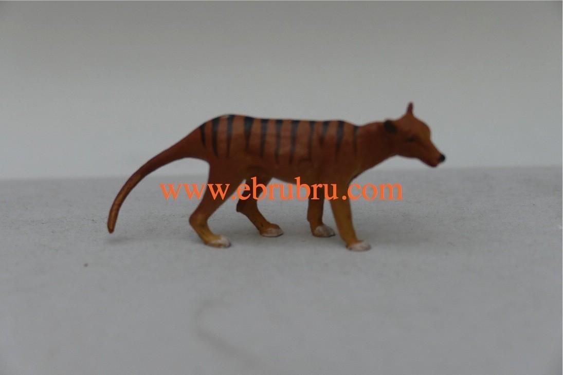 Le Loup de Tasmanie, thylacine  Starlux Z18